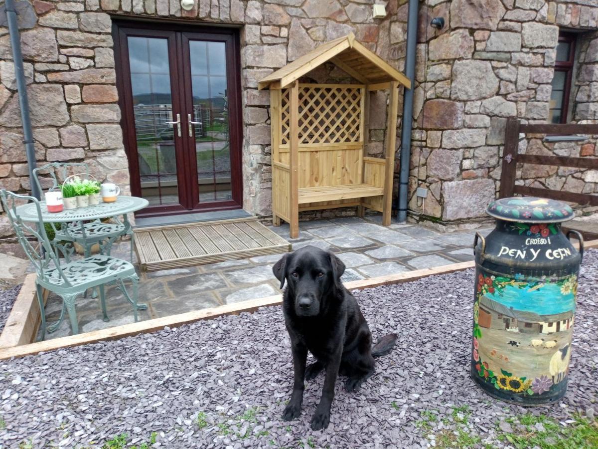 Conwy Pen Cefn Farm Holiday 阿贝尔格莱 外观 照片