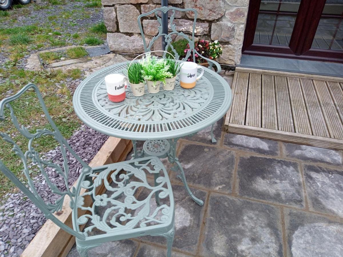 Conwy Pen Cefn Farm Holiday 阿贝尔格莱 外观 照片