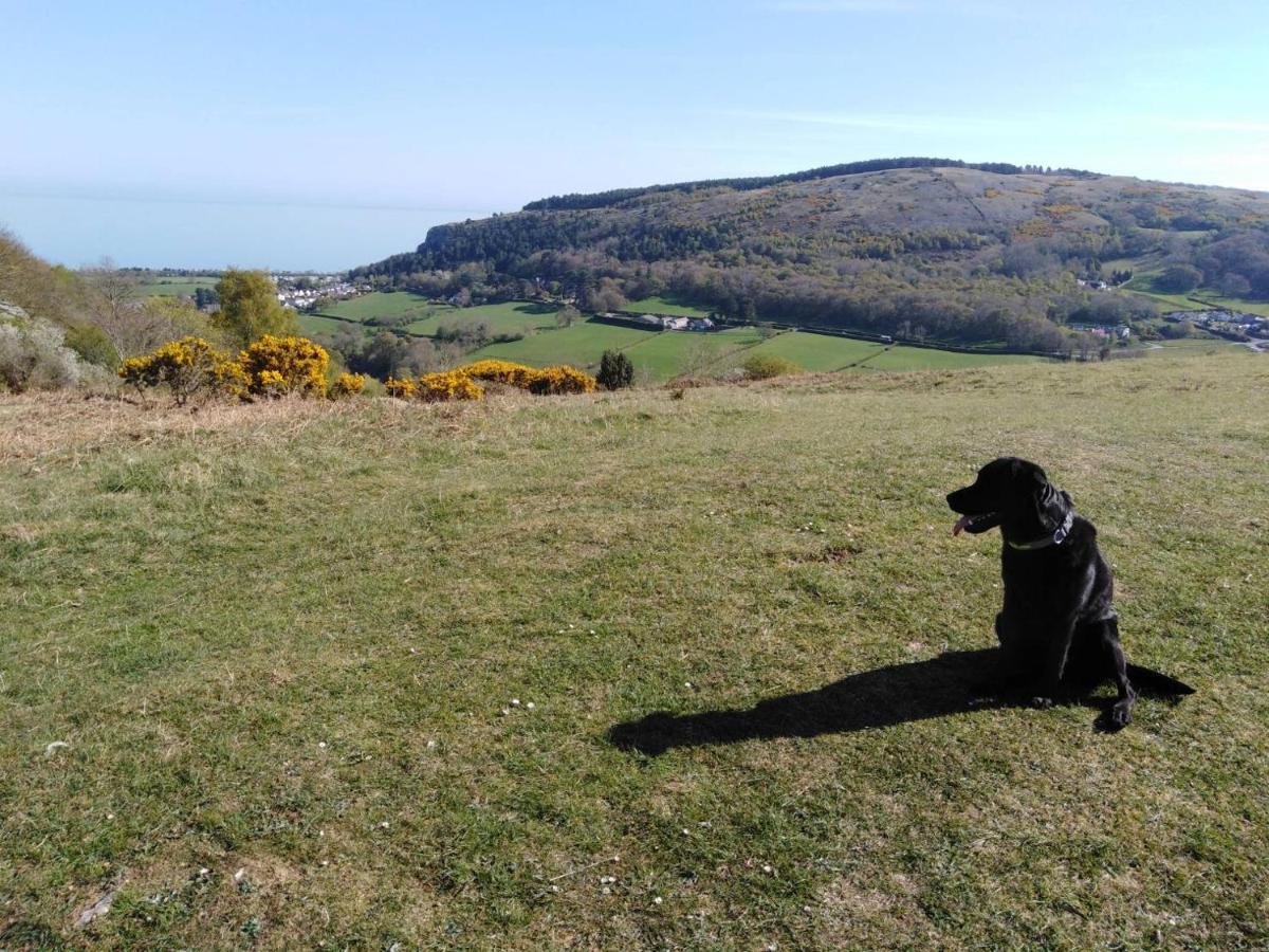 Conwy Pen Cefn Farm Holiday 阿贝尔格莱 外观 照片