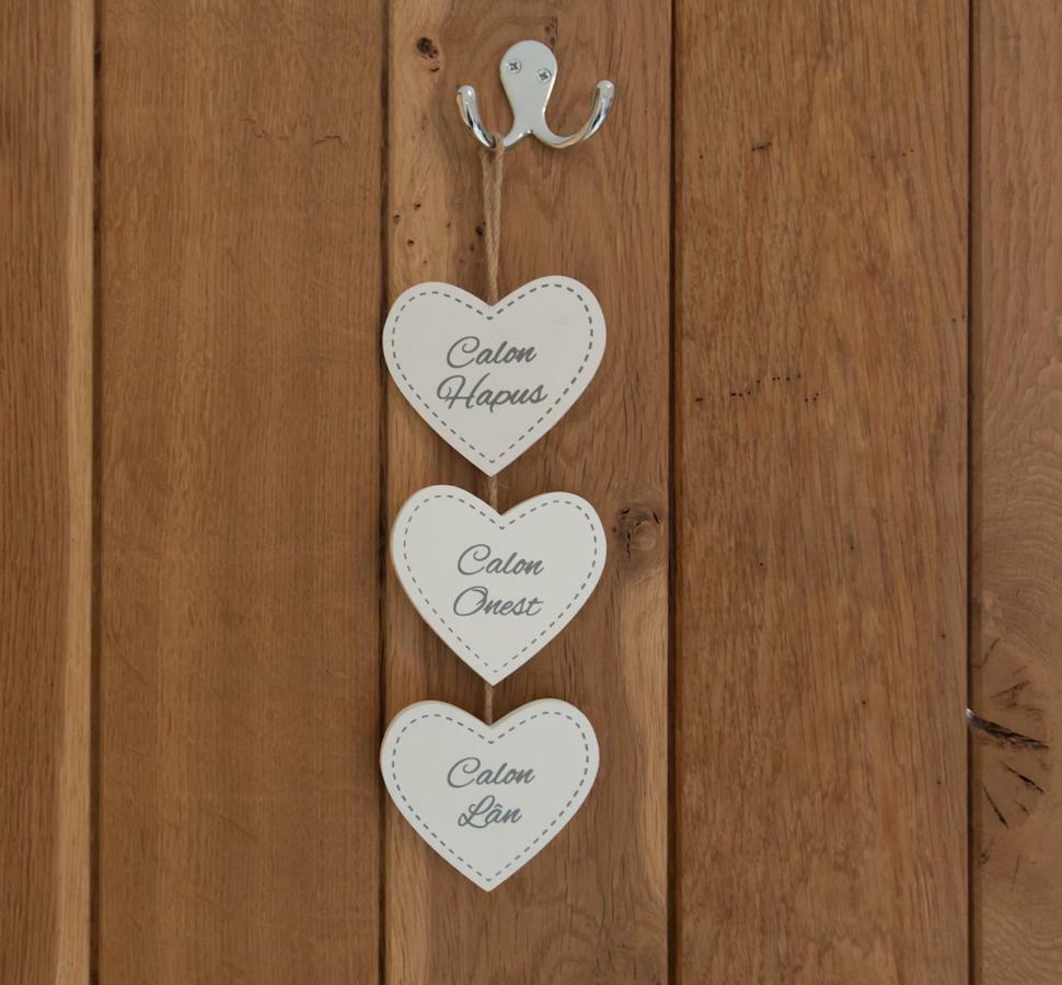 Conwy Pen Cefn Farm Holiday 阿贝尔格莱 外观 照片
